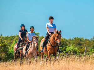 Randonnée à cheval