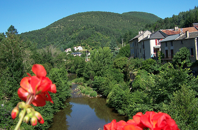 La Dourbie vue de St-Jean du Bruel