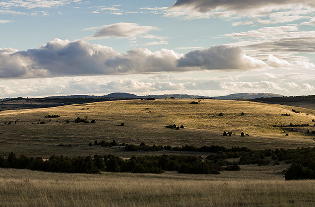 Panorama du Larzac