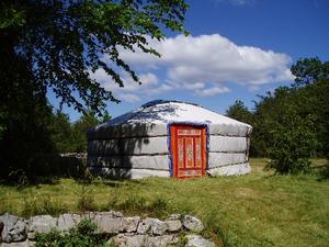 Chambre à louer / hébergement insolite